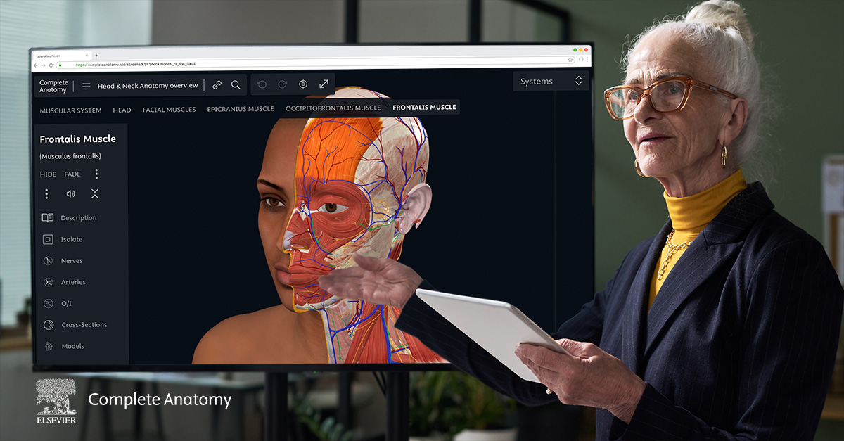 Visual of a female professor pointing to a screen featuring a dark-skinned female model head and neck that highlights the Frontalis Muscle